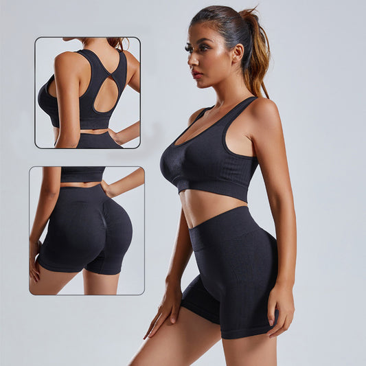 2pcs Yoga Set Women's Vest And Shorts Tracksuit Seamless Workout Sportswear Gym Clothing High Waist Leggings Fitness Sports Suits - Rhino Lifestyle